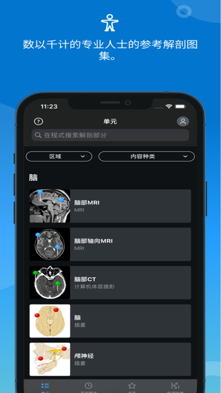 e-anatomy中文版