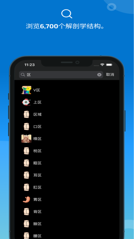 e-anatomy软件截图5
