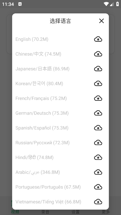 live caption翻译截图2