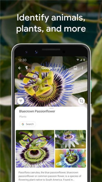 google智能镜头app(google lens)截图3
