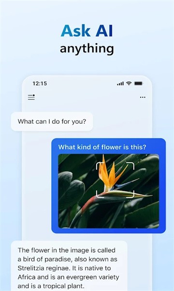 microsoft copilot app截图2