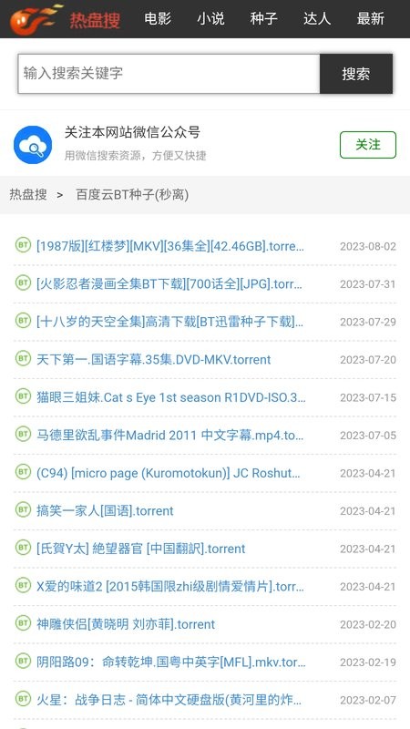 热盘搜索引擎截图5