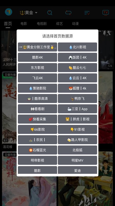 黄金影视2023最新手机安卓版截图4