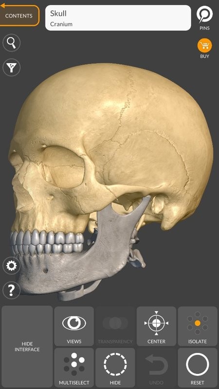 artanatomy安卓版(艺术家之3D解剖图)最新版截图2