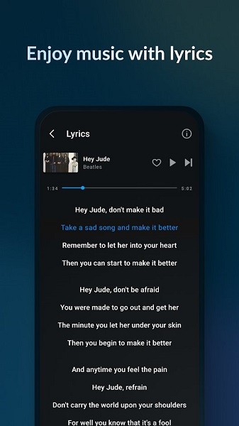 lark player apk(云雀音乐播放器)截图3