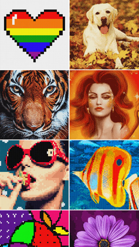 十字绣游戏最新版截图1