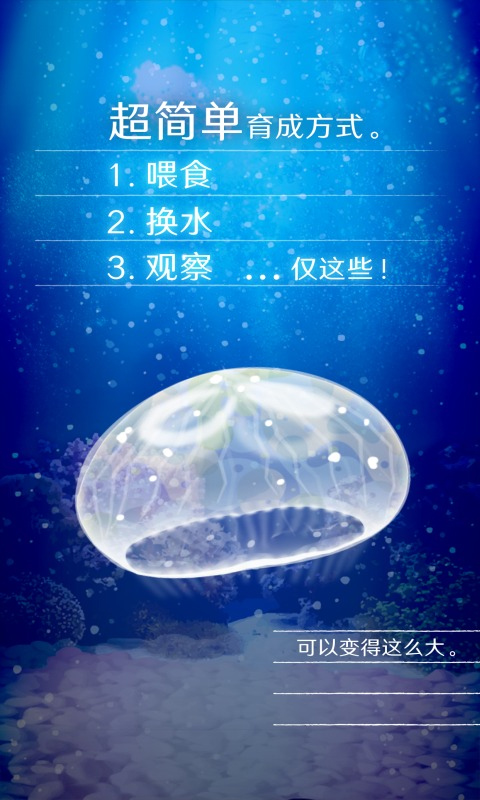 养育水母的治愈游戏中文版截图3