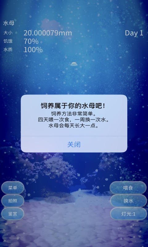 养育水母的治愈游戏中文版截图5