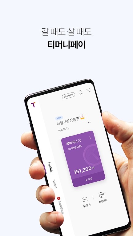 tmoney pay安卓截图3