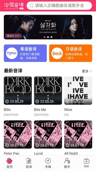 泡菜音译网官方截图2