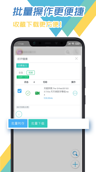 飞鸟下载器安卓版截图4