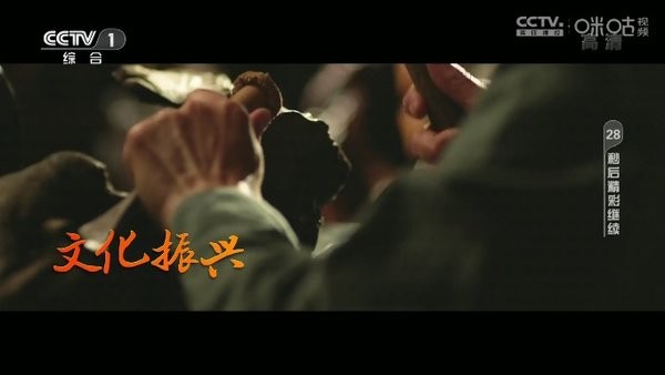 神鸟电视TV版安装包截图3