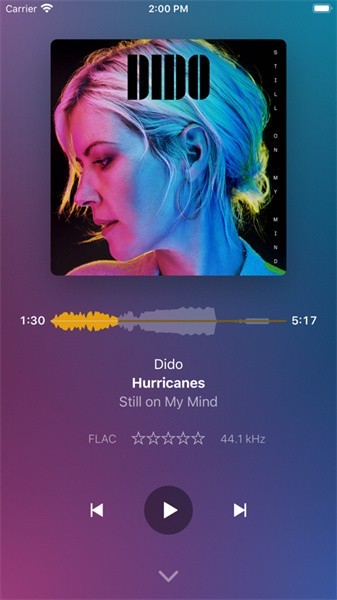 plexamp 4.8.3安卓安装包