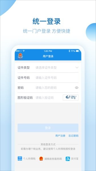 湖南税务服务平台官方版截图3