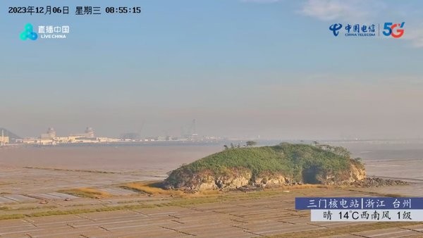 鲨鱼电视tv版截图1