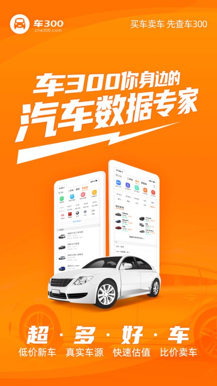 车300二手车估价app大众版截图3