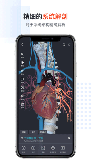 口袋人体解剖app截图2