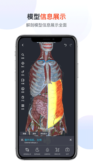 口袋人体解剖app截图3