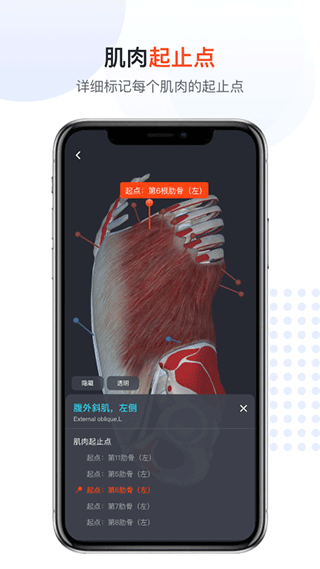 口袋人体解剖app截图5