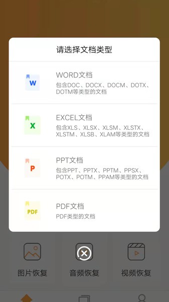 文档恢复大师软件免费版最新版截图4