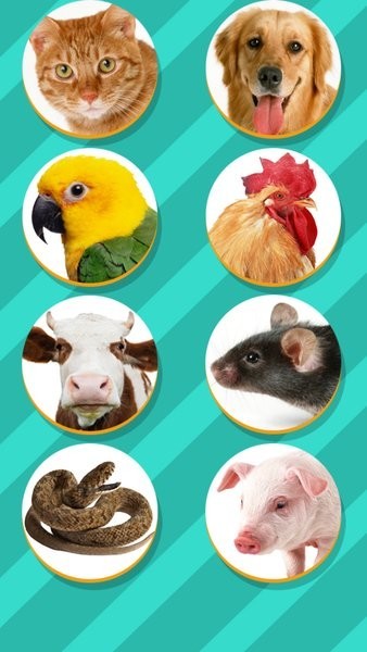 pet translator宠物对话翻译器截图1