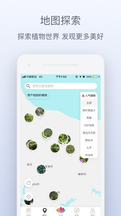 花伴侣植物识别拍照识花截图4