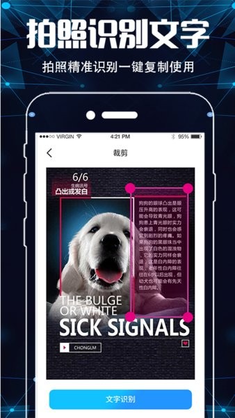 手机扫描仪ocr软件最新版截图1