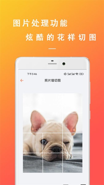 万能文案精灵手机版截图2