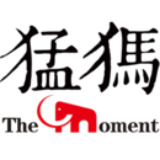 猛犸新闻安卓版