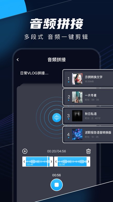 随身录软件截图4