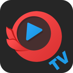 今日影视电视盒子版apk