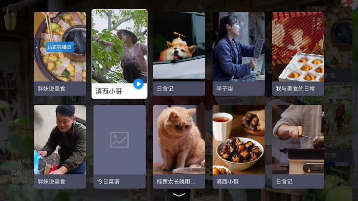 电视家浏览器apk安装包截图3