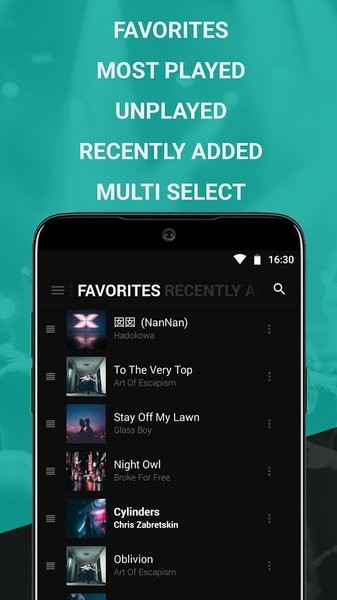 黑色音乐播放器BlackPlayer app截图2