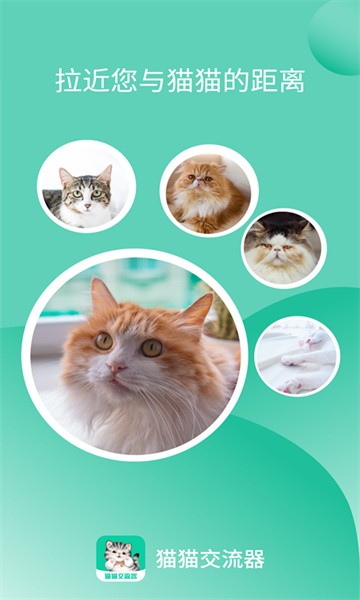 猫猫交流器app官方版截图1