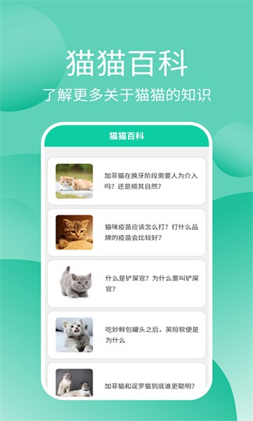猫猫交流器app官方版截图5