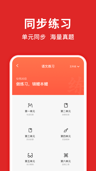 题拍拍拍照搜题截图2