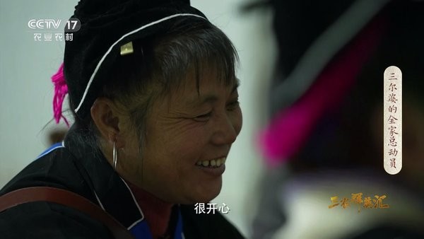 蚂蚁直播tv版apk安装包截图1