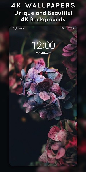 4kwallpaper手机壁纸截图3