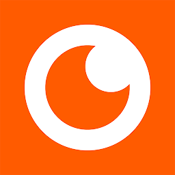 NetSee app