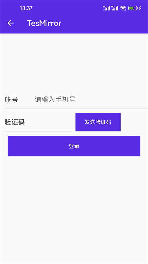tesmirror特斯拉投屏神器截图2