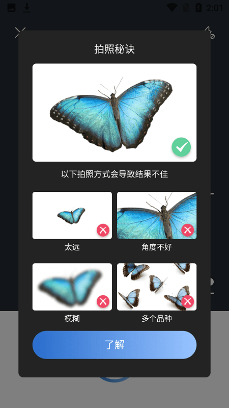 picture insect(拍照昆虫识别app)