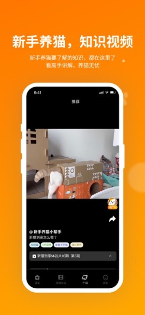小o猫管家hholove截图5