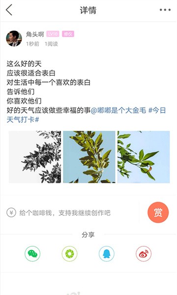 自贡在线app