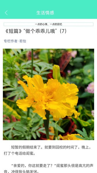 天天日历官方版截图4