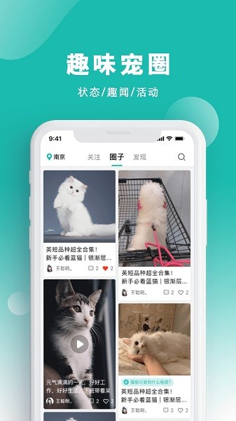 宠都截图4