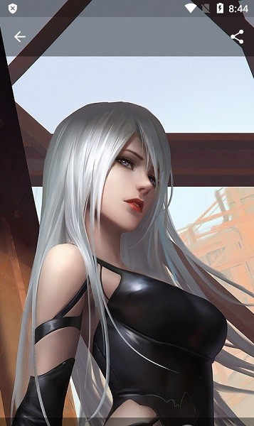 hdqwalls app截图2