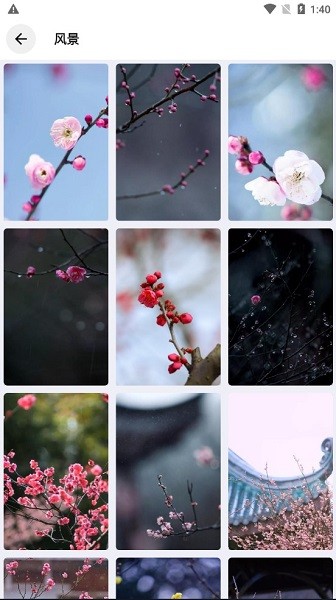 简壁纸app截图3