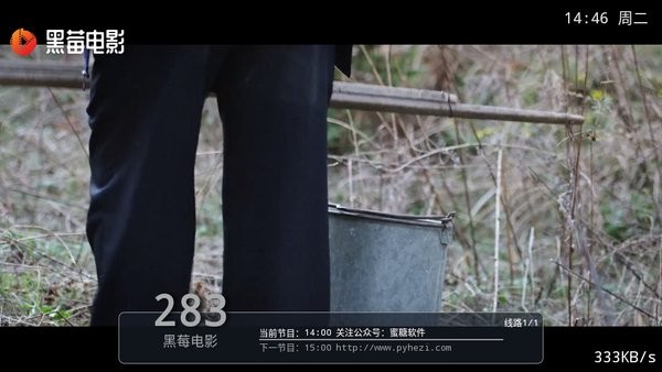 派tv直播手机版截图4