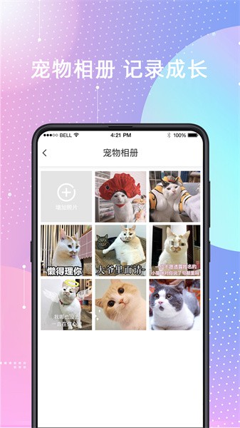 宠物猫狗交流器截图2