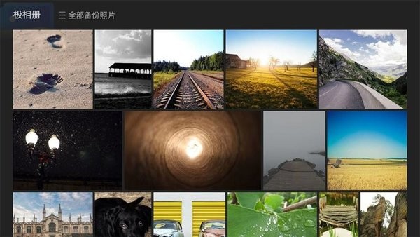 极空间TV版客户端最新版截图3